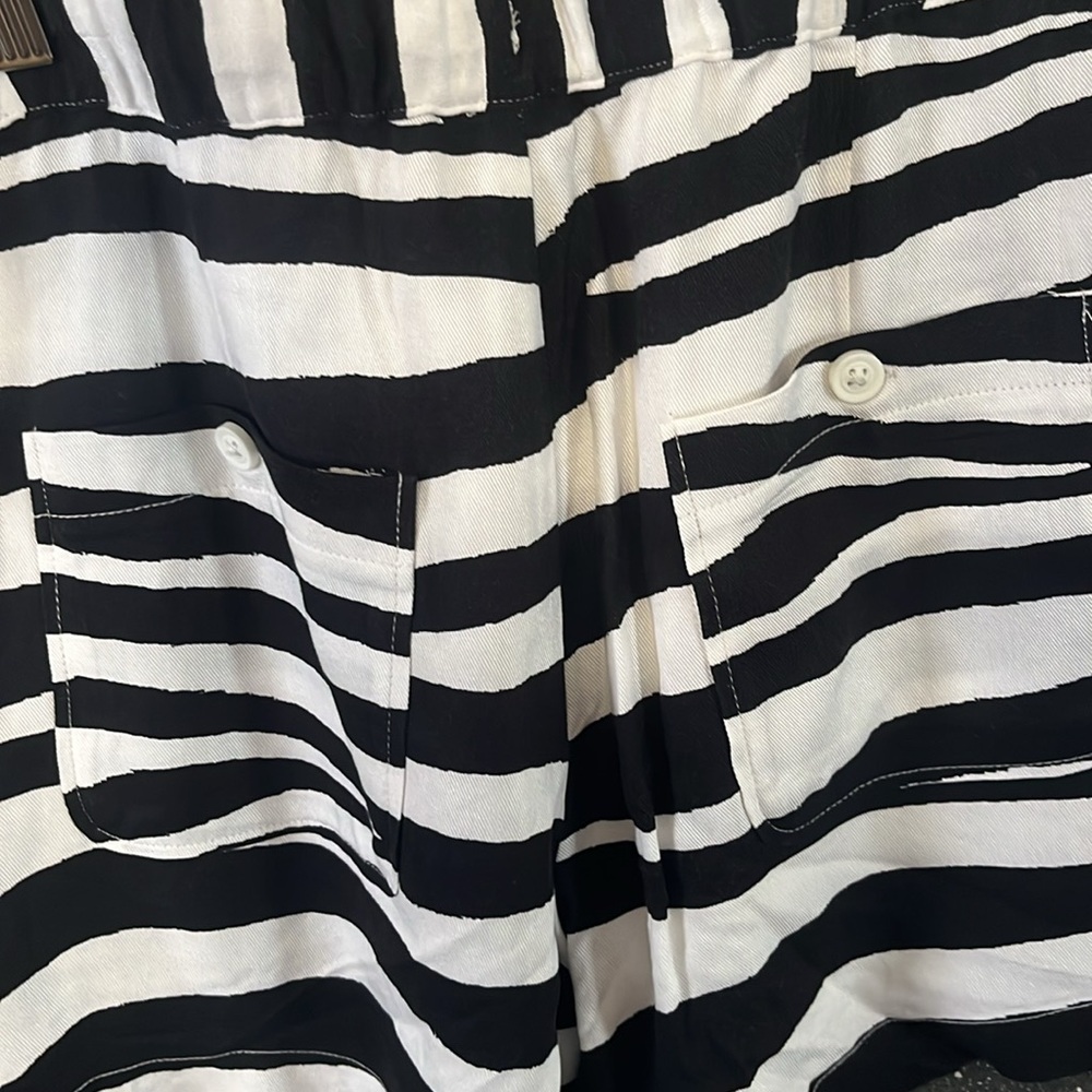 Zebra Striped Shorts. Had A String In The Front T… - image 2